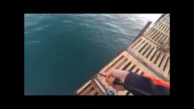 Ловля ставриды