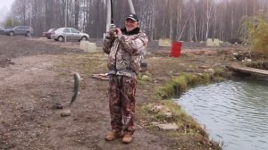 Ловля форели на блесну