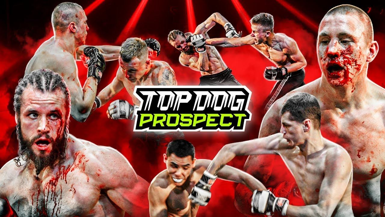 TOP DOG: PROSPECT | Белый vs. Шиша, Варвар vs. Жданов, Олигов vs. Джоуи