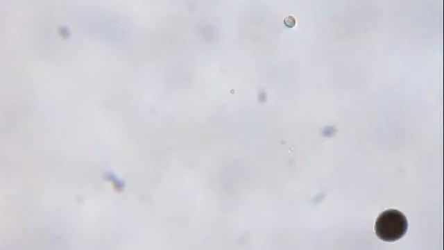 mikroskop 8 смотреть онлайн