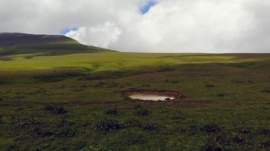 Лето в Кавказском заповеднике. Июль. 4К