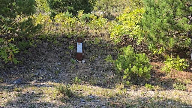 Тропа Палласа в Крыму. Часть 4: важная развилка к качелям