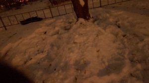 снежный терменатор