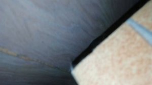 пять ночей с киттиком вторая часть