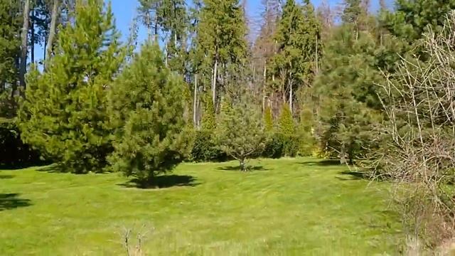 Малек Форели Купить Цена Воронеж
