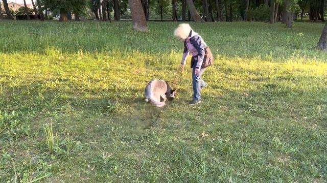 Удочка смотреть онлайн
