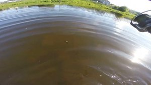 Супер насадка, щука на живца!!!!