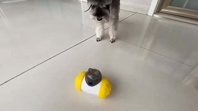 игрушка-кормушка смотреть онлайн