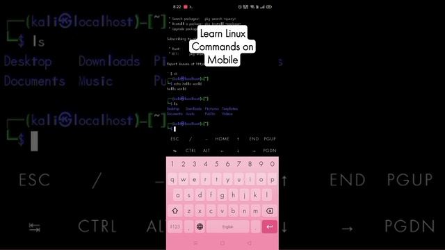 Learn Linux Commands echo, ls, cd, mkdir #learning #commands #linux #linuxlearning