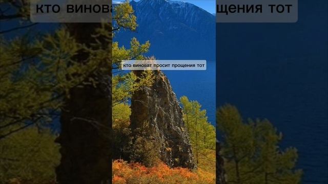 НЕ ВСЕГДА ПРОСИТ ПРОЩЕНИЯ ТОТ, КТО ВИНОВАТ. ПРОСИТ ПРОЩЕНИЯ ТОТ, КТО ДОРОЖИТ ОТНОШЕНИЯМИ.