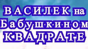 Василек на Бабушкином квадрате крючком - Плед + Мастер-класс