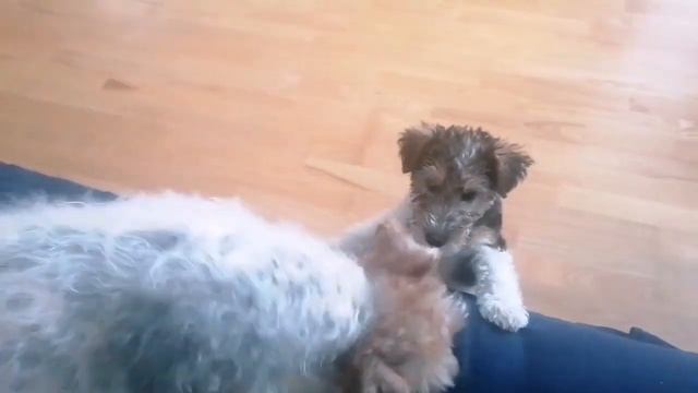 2023 m. balandžio 27 d. смотреть онлайн