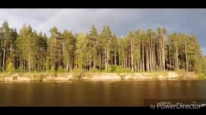 Вологодская 2019 (рыбачим 24.07.19)