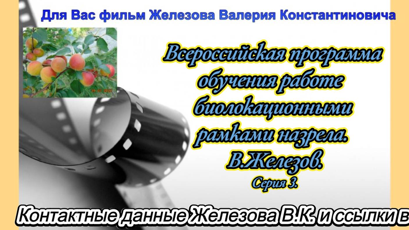 Всероссийская программа обучения работе  биолокационными рамками назрела. В.Железов. Серия 3.