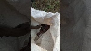 Копаем медь, латунь и черный металл! И ещё нужные вещи.