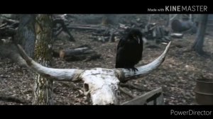 Виталик ИГНАТЮК VS ХИЩНИК