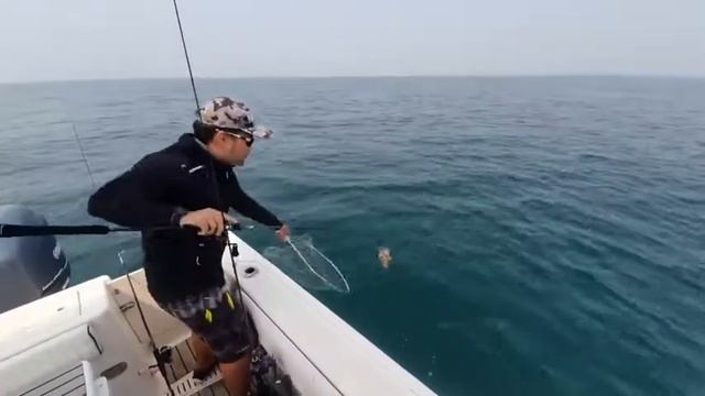 JIGGING DRAFT 10 APR смотреть онлайн