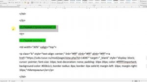 Модуль 2- Язык HTML 2024