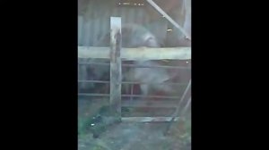в шоке!!!