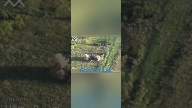 БАБАЙ Всемогущий