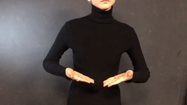 Жестовое пение. Песня «Землянка» - дойти