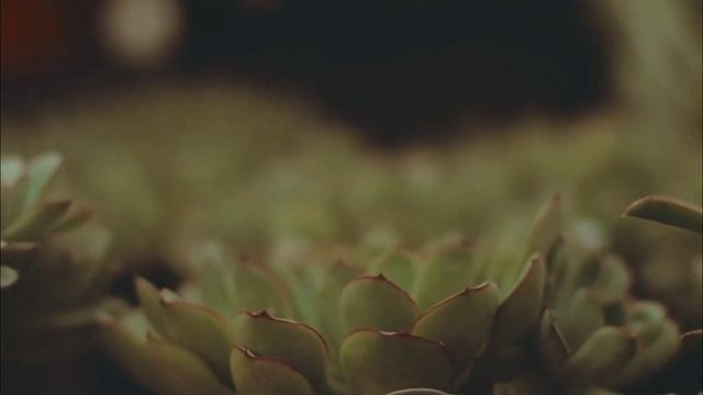 💥Oppo A5 A9 2020 Android 11 Version | Oppo A5 A9 2020 New Software Update | Oppo April Update смотреть онлайн