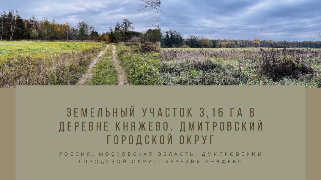 Земельный участок 316 га в деревне Княжево. Дмитровский городской округ