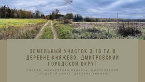 Земельный участок 3,16 га в деревне Княжево. Дмитровский городской округ
