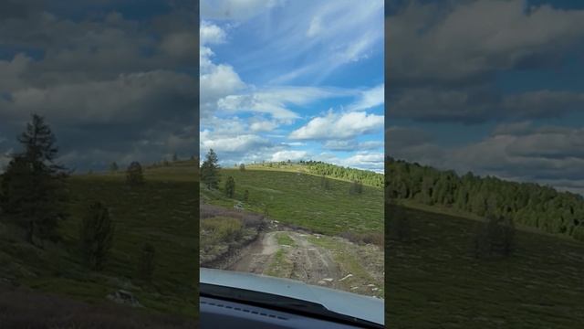 На высоте 2200 м, полет нормальный #поехалиснами #автопутешествиепороссии #индивидуальныетуры