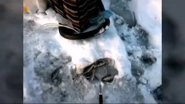 охота и рыбалка последнее виде 1 сезона смотреть онлайн