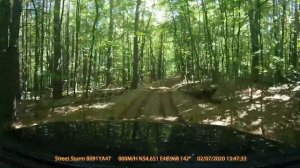 Старая Майна 2020