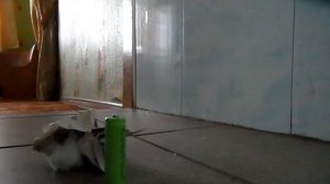 Как добыть огонь при помощи батарейки