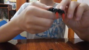 паэоучок из лега