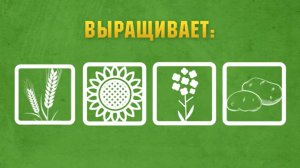 ПХ “Лазаревское” от А до Я: структура предприятия