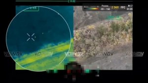 Шкодники гоняют хохлов!