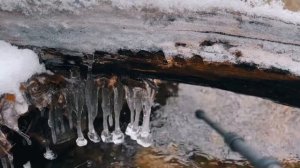 iPhone 14 Pro Max | Cinema Mode Footage