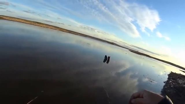 Рыбалка в Астраханской области.