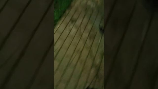 э лови аптечку.#лёха рип