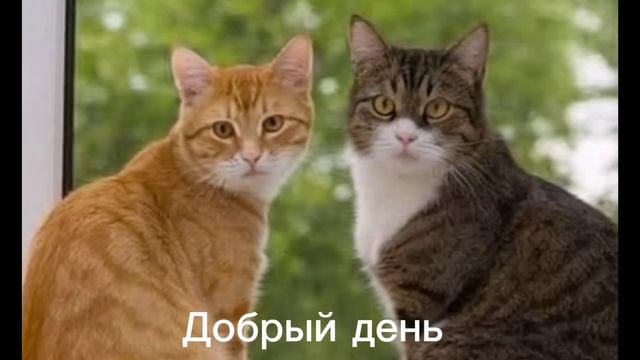 Добрый день