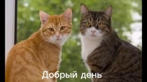 Добрый день