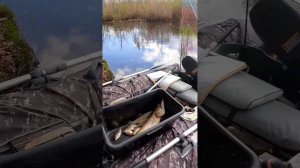 Нарвское водохранилище.
