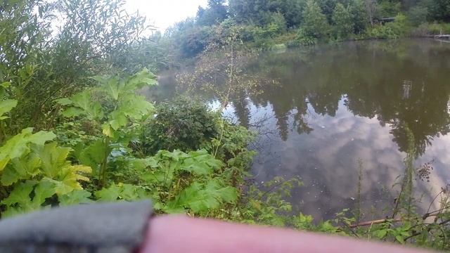 Охота на пресноводного хищника. смотреть онлайн