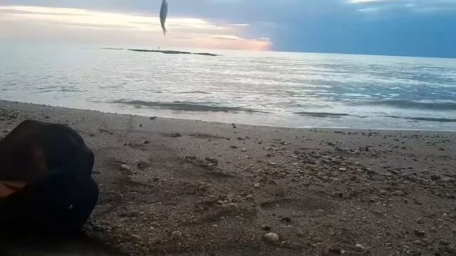 Необычные трофеи. смотреть онлайн