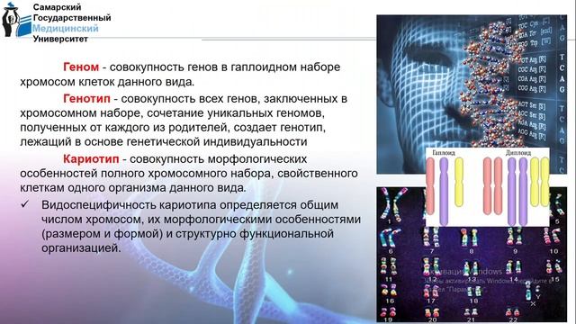 Лекция № 3 смотреть онлайн