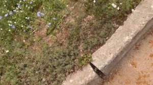 Полезный лайфхак! Как закрыть с РАБОТАЮЩИМ двигателем/печкой/климатом  Джили Монжаро/Geely Monjaro