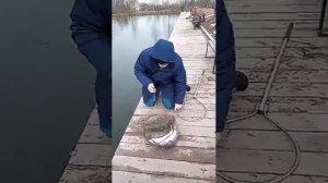 19.03.24 Рыбные Пруды, Ропша