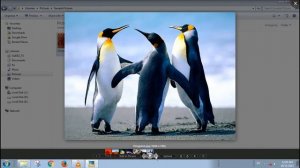 How to take screenshot using VLC Media Player?