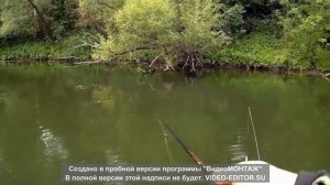 Щуки монстры! Ловля щуки на твичинг!