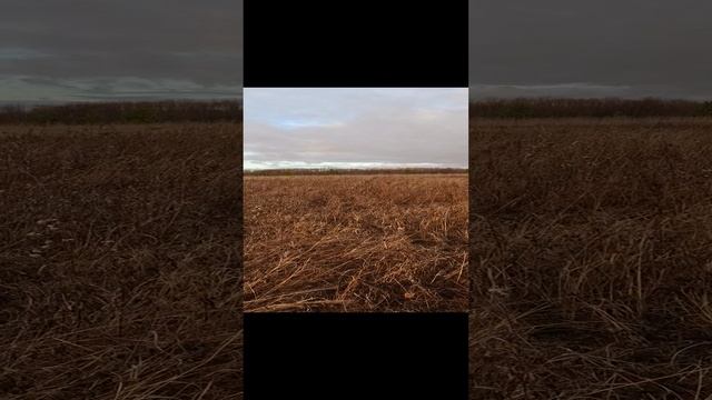1000000396.mp4
