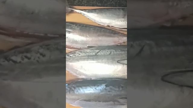 Что это за рыба и как её приготовить? #рыбалка #улов #рыба #морская смотреть онлайн